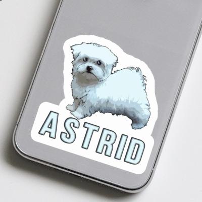 Maltese Dog Sticker Astrid Image