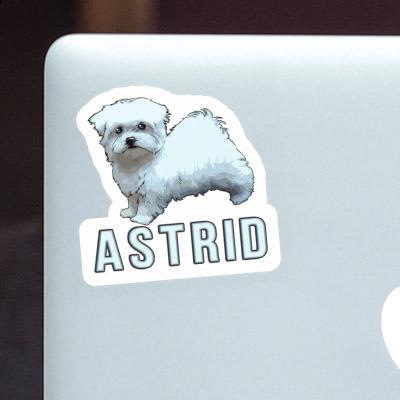 Maltese Sticker Astrid Image