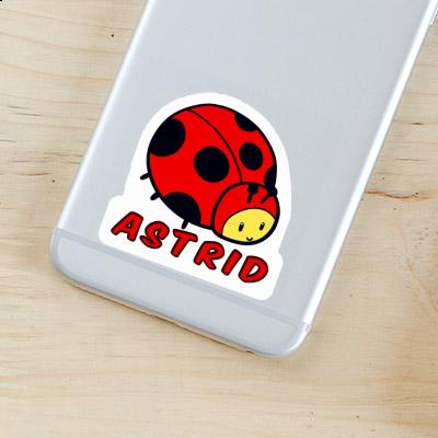 Sticker Ladybug Astrid Gift package Image