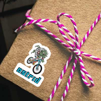 Downhill-Biker Sticker Astrid Gift package Image