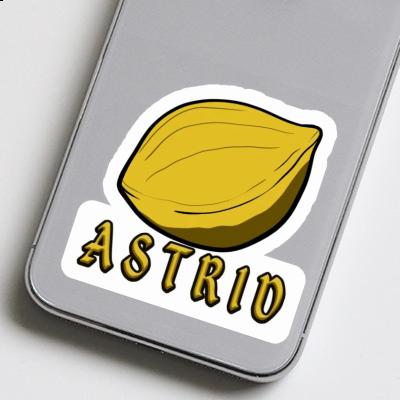 Astrid Sticker Nut Notebook Image