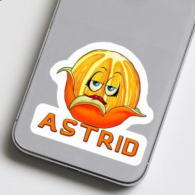 Sticker Orange Astrid Gift package Image