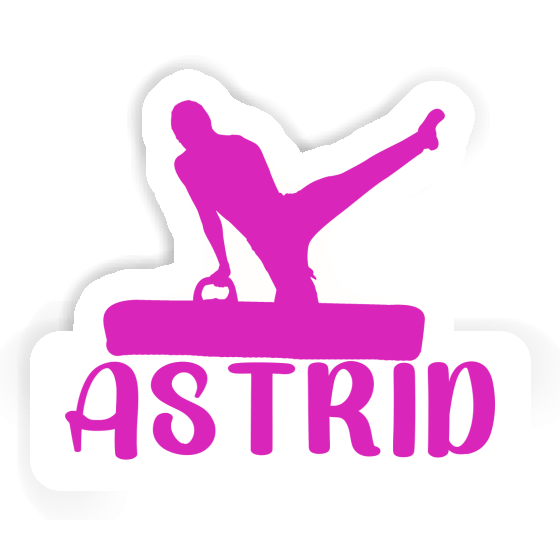 Sticker Astrid Turner Gift package Image