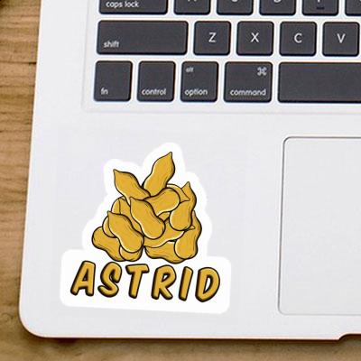 Sticker Astrid Erdnuss Gift package Image