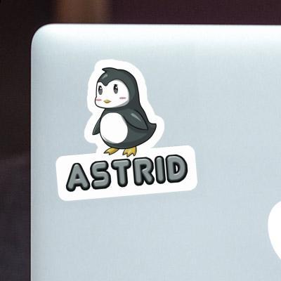 Astrid Sticker Penguin Gift package Image