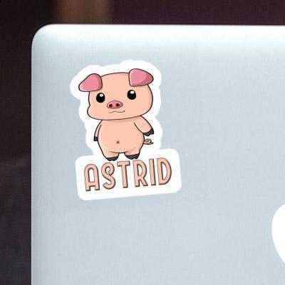 Astrid Sticker Piggy Gift package Image