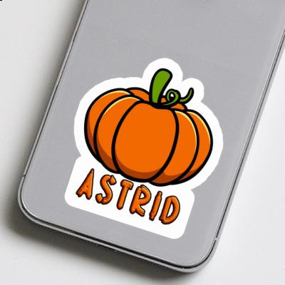 Astrid Sticker Pumpkin Gift package Image