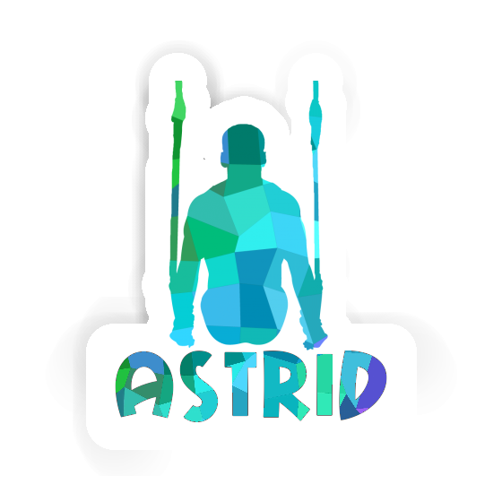 Astrid Sticker Ringturner Gift package Image