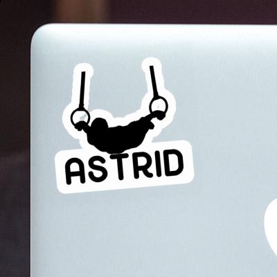 Sticker Astrid Ringturner Notebook Image