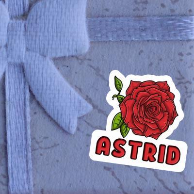 Astrid Sticker Rose blossom Gift package Image