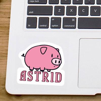 Astrid Sticker Schwein Image