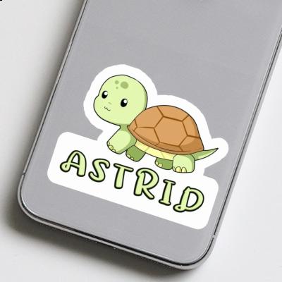 Astrid Autocollant Tortue Laptop Image