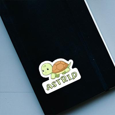 Astrid Autocollant Tortue Laptop Image