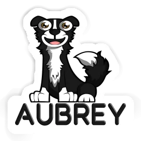 Border Collie Sticker Aubrey Image