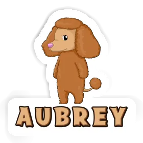 Sticker Poodle Aubrey Image