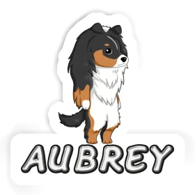 Sticker Sheltie Aubrey Image