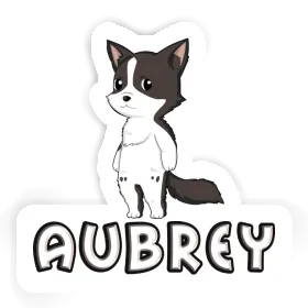 Border Collie Sticker Aubrey Image