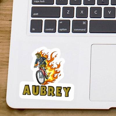 Biker Sticker Aubrey Gift package Image