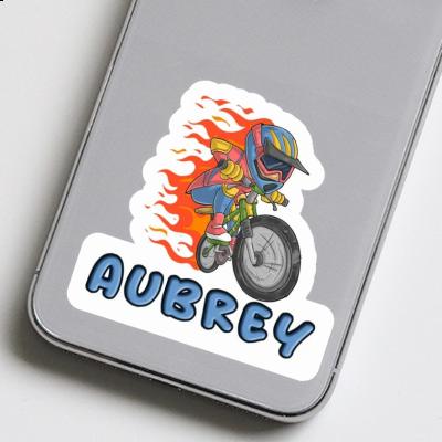 Aubrey Autocollant Vététiste de freeride Notebook Image