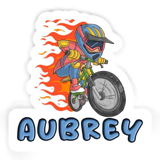 Sticker Downhiller Aubrey Gift package Image