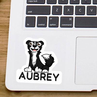 Border Collie Sticker Aubrey Gift package Image