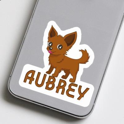 Sticker Aubrey Chihuahua Laptop Image