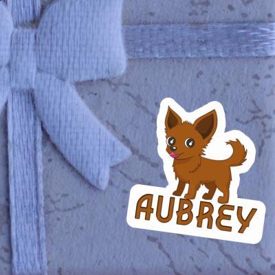 Autocollant Aubrey Chihuahua Laptop Image