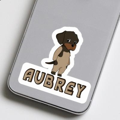 Sticker German Wirehaired Aubrey Gift package Image