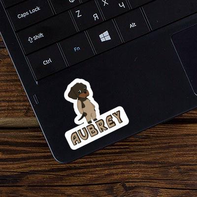 Sticker German Wirehaired Aubrey Laptop Image