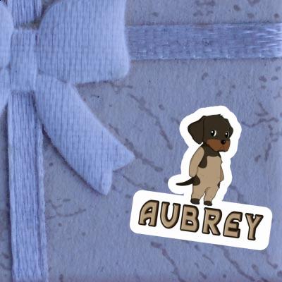 Sticker German Wirehaired Aubrey Gift package Image