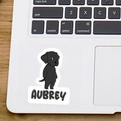 Autocollant Aubrey Labrador Laptop Image