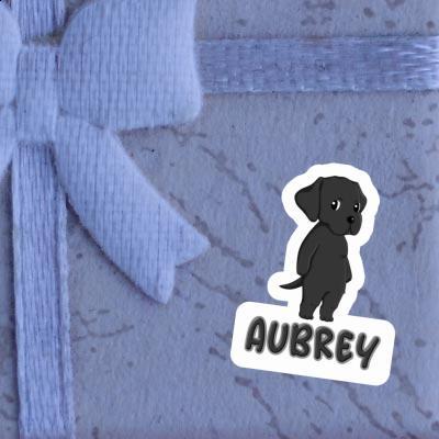 Autocollant Aubrey Labrador Gift package Image