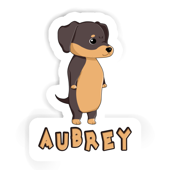 Sticker Dachshund Aubrey Gift package Image