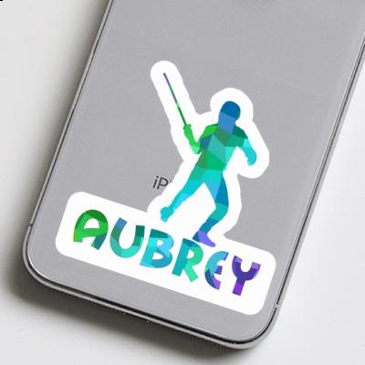 Aubrey Sticker Fencer Laptop Image