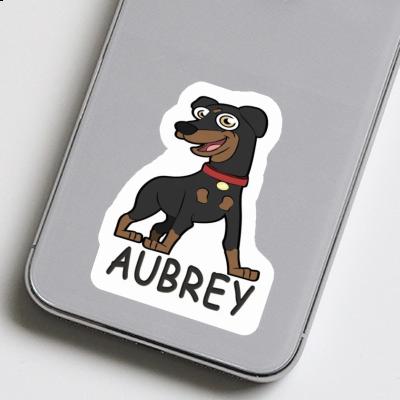 Sticker Aubrey Pinscher Laptop Image