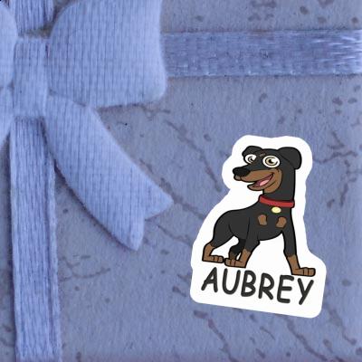 Pinscher Sticker Aubrey Laptop Image