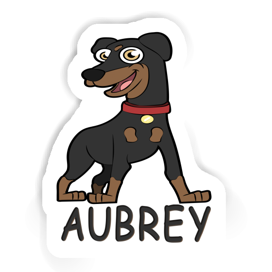 Pinscher Sticker Aubrey Laptop Image