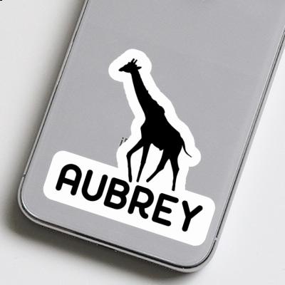 Aubrey Autocollant Girafe Gift package Image