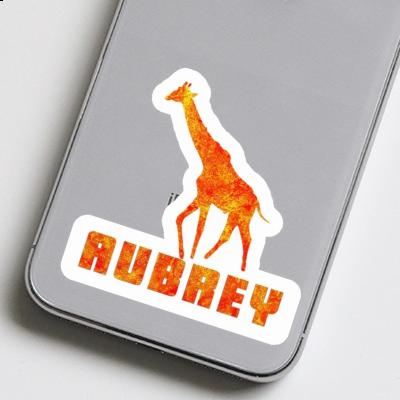 Autocollant Girafe Aubrey Gift package Image