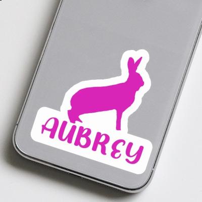 Autocollant Lapin Aubrey Gift package Image