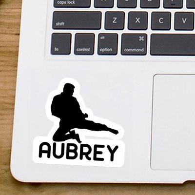 Aubrey Sticker Karateka Gift package Image