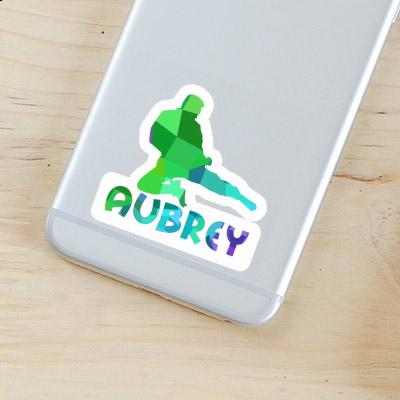 Aubrey Sticker Karateka Image