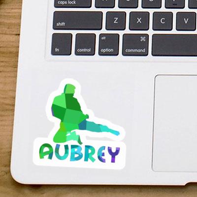 Aubrey Sticker Karateka Laptop Image