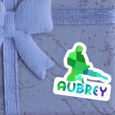 Aubrey Sticker Karateka Notebook Image