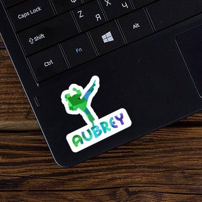 Sticker Aubrey Karateka Laptop Image