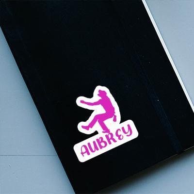 Aubrey Sticker Climber Notebook Image