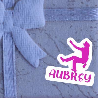 Aubrey Sticker Climber Gift package Image