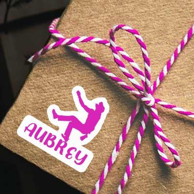 Aubrey Sticker Climber Notebook Image