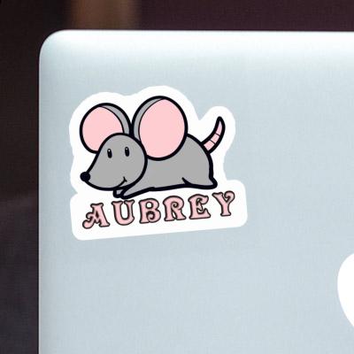 Autocollant Souris Aubrey Gift package Image