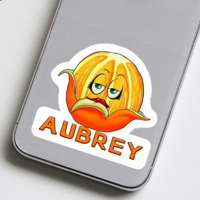 Orange Autocollant Aubrey Gift package Image